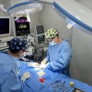 강북 24시 N 동물의료센터 | 강북구24시동물병원 강아지 심장사상충, 약으로만 안될 때 수술이 필요한 이유