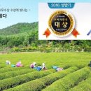 보성선운제다 이미지