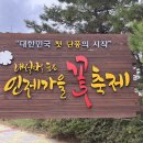 강원도 인제가을 꽃 축제 이미지