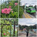 오동근린공원 | 성북구 오동근린공원 산책길(2026.8.15)