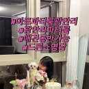 광안2-303 | 광안리공간대여 애견동반가능한 아르 파티룸 광안리