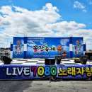 밀라노파크모텔 | 장항항 수산물 꼴갑축제 완전 정복 / 완벽 가이드: 갑오징어·꼴뚜기 맨손잡기 · 수산물 경매 · 금강...