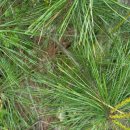 오금농장 이미지