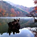 주산지 이미지