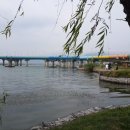 삼팔선의봄 이미지