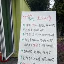 보메와산 | 제주도 동쪽 감귤 따기 체험 추천! 보메와산 감귤농장 내돈내산 후기