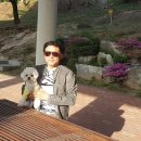 최세모 이미지