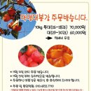법인하동와인 이미지
