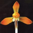 (주)금화 이미지