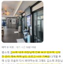 강아지 TPLO 수술과 크라이오테라피 &lt;루시드는 뭐가 다른가요?&gt;