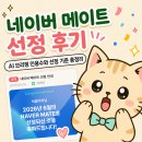 메이트 | [공지] 네이버 메이트 선정 후기, AI 브리핑 인용수와 선정 기준 총정리