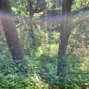 경서대로주유소 이미지