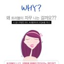 더에스엔티