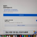 28주 태교여행 일본 구마모토 4박5일 일정 임산부 비행기