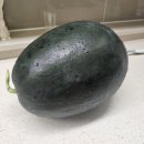 안동청과 공판장 흑수박 후기
