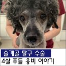 원당동물병원 이미지