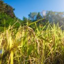 봉곡로-9 이미지