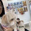 효진동물병원 이미지