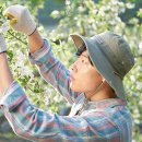 은숙농장 | 리틀 포레스트 후기 그녀가 만드는 음식에 치이다