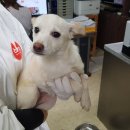 대호만로 이미지