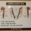 광주 동림 체형교정원에서 체형 교정 받은 후기