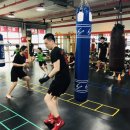 레드짐복싱 이미지