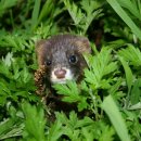 국립생태원동물병원 이미지