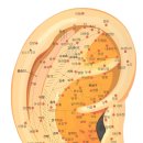 이혈요법 이미지