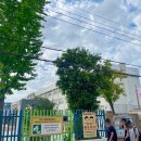 서대구중학교 이미지