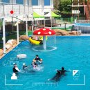 스파리조트 안단테 찜질방 | 전남 가성비 숙소 추천 장흥 스파리조트 안단테 워터파크 내돈내산 후기