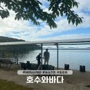 [태안 낚시 펜션] 숙소에서 바베큐 먹으며 낚시 가능한 &#39;호수와 바다&#39; 후기(내돈내산)