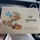 [안목해변 디저트 맛집] 강릉 순두부젤라또2호점 강릉커피빵 내돈내산 추천후기