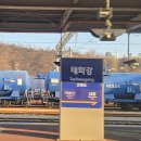 해운대에 올라 | 의성역 KTX 타고 신해운대 당일치기 여행 후기