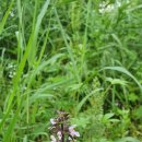 전망좋은곳 이미지