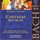 바흐 / ♬칸타타 BWV146 '우리는 많은 환난을 겪어야 합니다' (Cantata BWV146 'Wir müssen durch viel Trübsal') 이미지