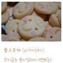 뚱스쿠키
