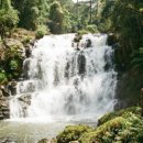 달랏(DA LAT) | [베트남 달랏] 더위 탈출! 낭만 가득한 3박 4일 달랏 여행 코스 &amp; 맛집 총정리 🌸