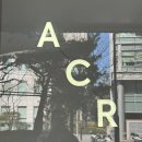 알레그리아 | 광화문 카페 추천 | 덕수궁 디팰리스 알레그리아 후기