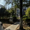 하나로여행사주 - 수성구 지범로 188 | 상하이 핫플, 천안천수 1000 Trees 포토존 가는 법 솔직 후기 | 상하이여행 DAY03-①