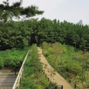 산책길 이미지