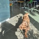 시월 충남 부여 감성카페, 수제 디저트 홀케이크가 맛있는 "<b>시월</b>"