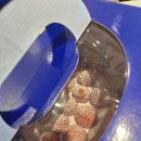 고산초교 이미지