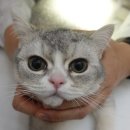 중동우리아이동물병원 이미지