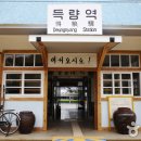보성차밭전망대