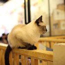 테이블에이 이미지