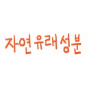 로덱스&리버스 - 포항시 남구 중앙로122번길 6-3 | 로덱스&리버스