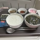 엠에스 제왕절개 출산 후기