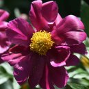 모란파크 이미지