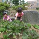 명천유치원 이미지