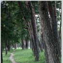 허난설헌생가터 이미지